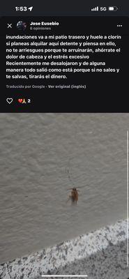 Northwoods Apartments