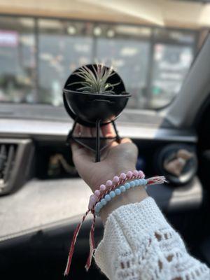 Blush Flowers & Gifts