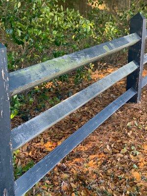 Fence soft washing before.