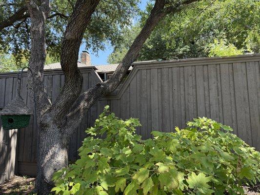 Craftsman Fence & Deck