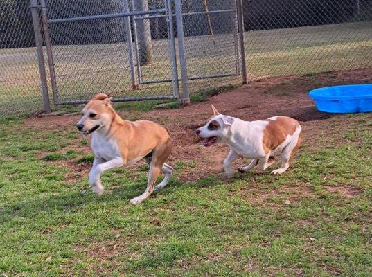 Sumter Humane Society