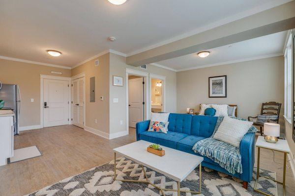 Everlan Living of Clemson by Dominion | Model apartment living area