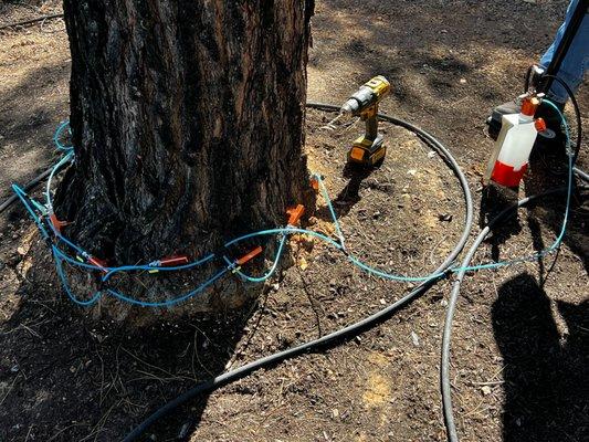 Adaptive Plant Health and Weed Solutions