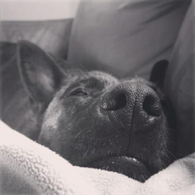 Cozy, happy customer