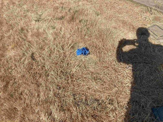 Skyview Memorial Lawn