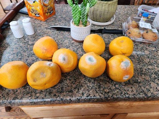 Pittman & Davis Fruit