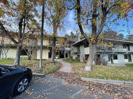 Poppy Movement & Wellness