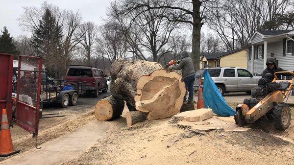 Domingo Mateo Landscaping