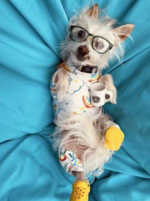 Talega Animal Hospital