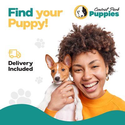 Central Park Puppies