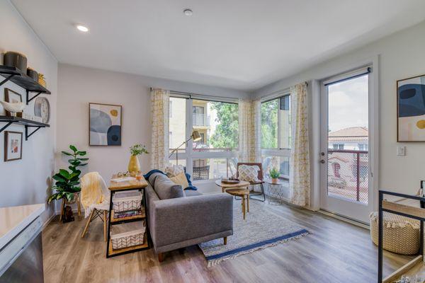 Plenty of natural lighting, living room