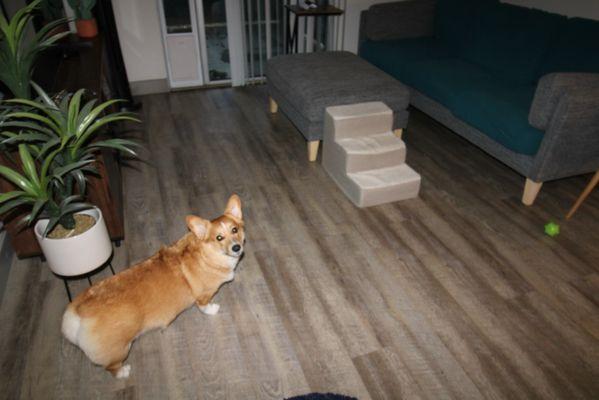 Northwood Village Apartments