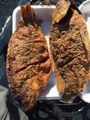 Glen Cove Mini Market