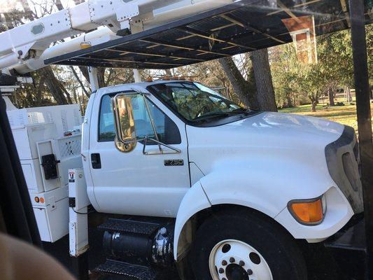 Fallston Tree Service