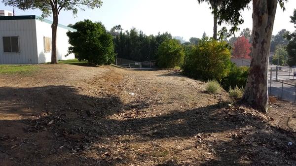 Ivy High School Project