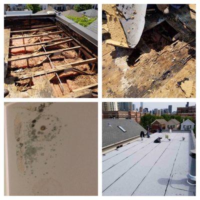 Miller's Sealcoating & Flat Roof Specialist