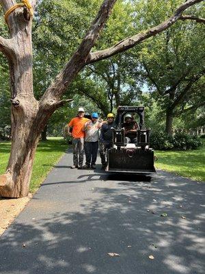 Abbott Tree Care Professionals