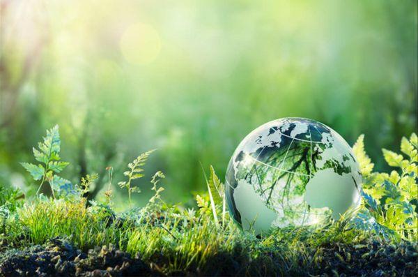 Affordable Home Services Michigan