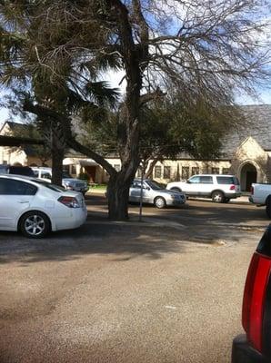 Dalton & krlton's school