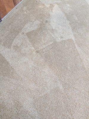 Special Touch Carpet Cleaners