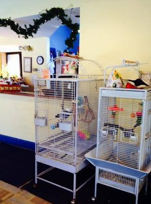 Highland Veterinary Clinic