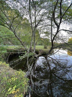 Jackson M Ebott Wetland Refuge