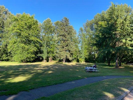 Picnic table near the peaceful trees
