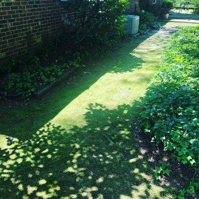 Yard Dawgs Landscaping