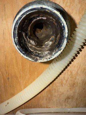 Clog buster drain service