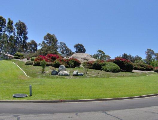 Stan Smith Associates