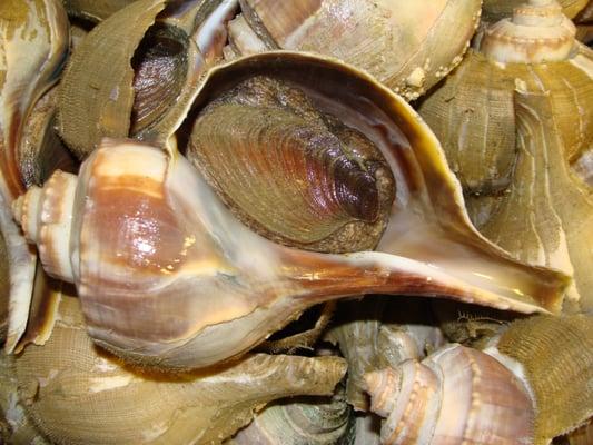 Big G Seafood Inc