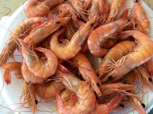 Annual Biloxi Seafood Festival - September