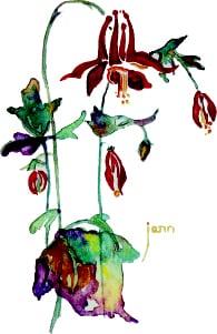 We are committed to providing an environment where our guests can
RELAX. ENJOY. REJUVENATE.