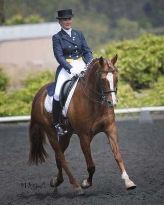 Dr. Pam in an equestrian competition.