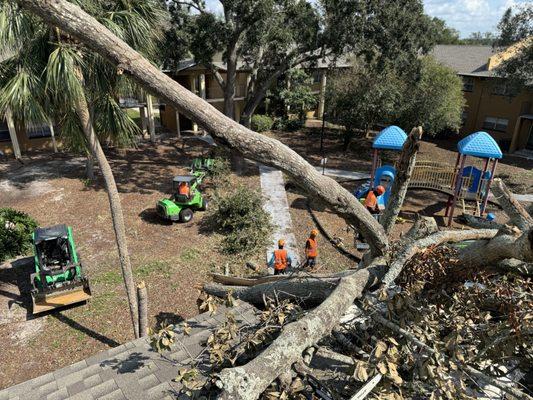 Yardify Tree Care & Landscaping