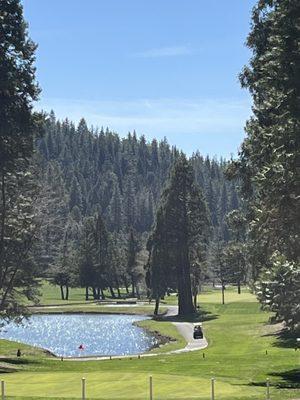 How do you beat this!?!? View from the 13th green looking back. 11th is in the foreground and 10th green can be seen.