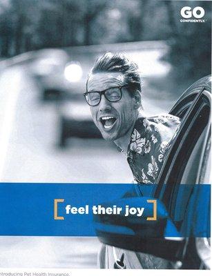 Taking a beloved pet to the Vet can be costly, don't fret we sell pet insurance to make sure your fury friends are healthy & happy