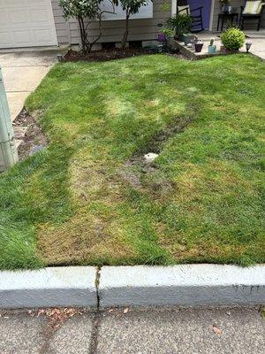 Scrapped to the dirt with a big lawnmower