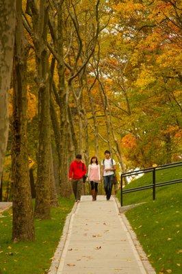 Autumn NYIT's Long Island (Old Westbury, N.Y.) Campus