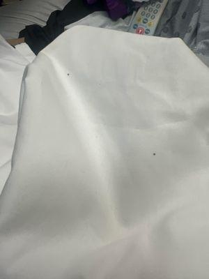 Blood from a blanket she unfolded and had not used yet