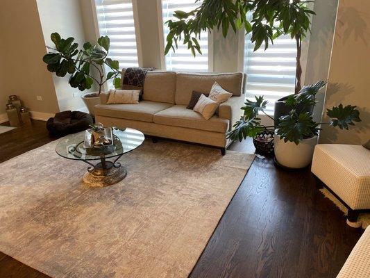 Premier my carpet looks great