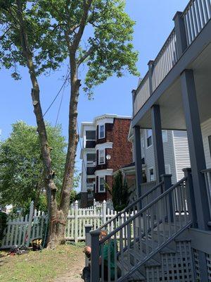 Hoey Landscaping & Tree Service