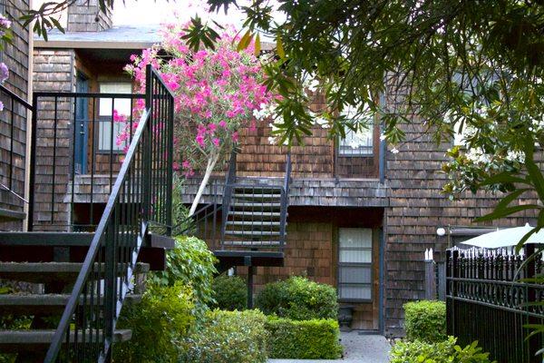 Harbor Isle Apartments