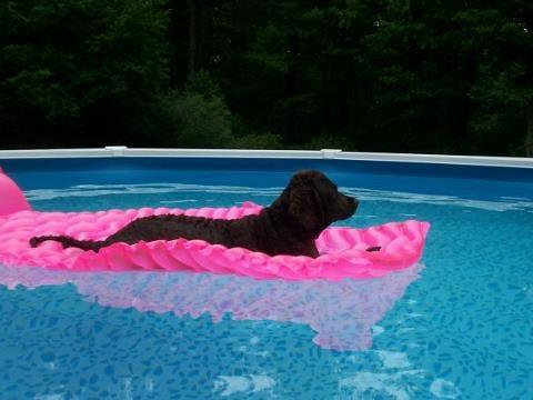Ken's Pools