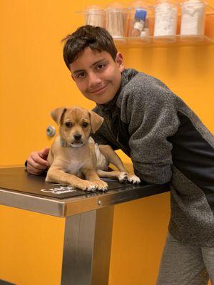 Louisiana SPCA