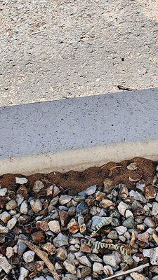 Aspire Pinnacle Peak