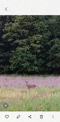 River Run Apartments