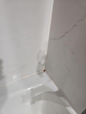 This is possible a smashed roach or a burn hole ... we didn't 'dig in' to check