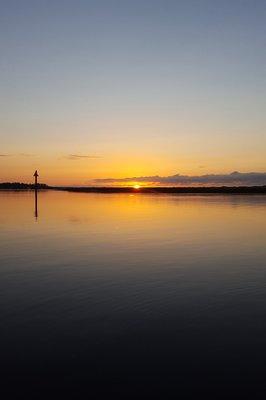 Blue Pearl Marine Tours