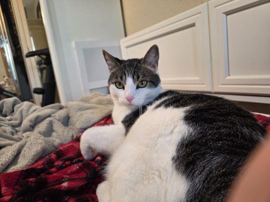 Dusty Dog Soap & Spa